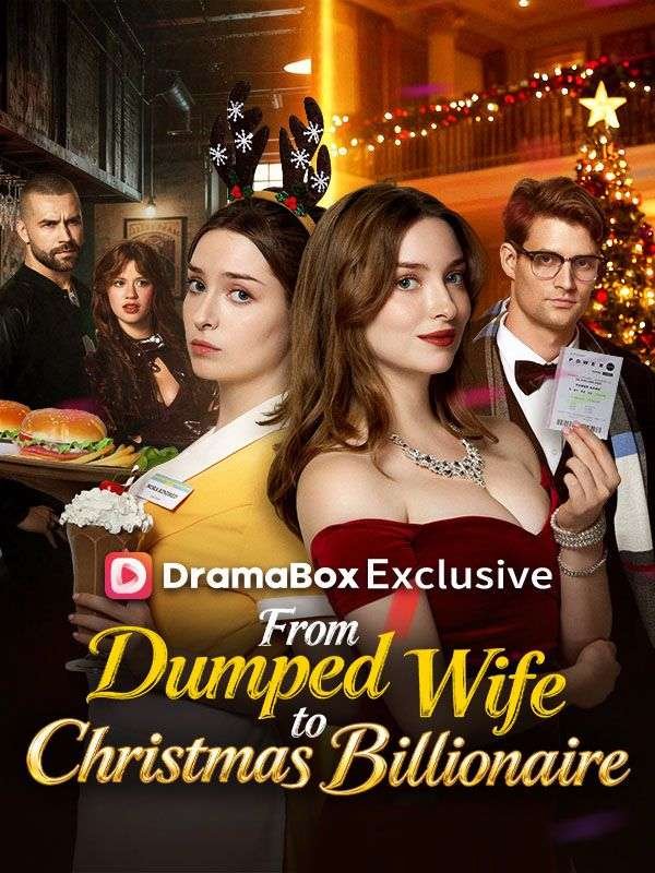 From Dumped Wife to Christmas Billionaire Sub Indo